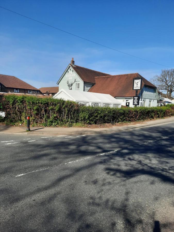 The Roebuck Inn Southampton Bagian luar foto